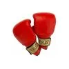 Guantes De Boxeo PVC Everlast Boston - Fitshop