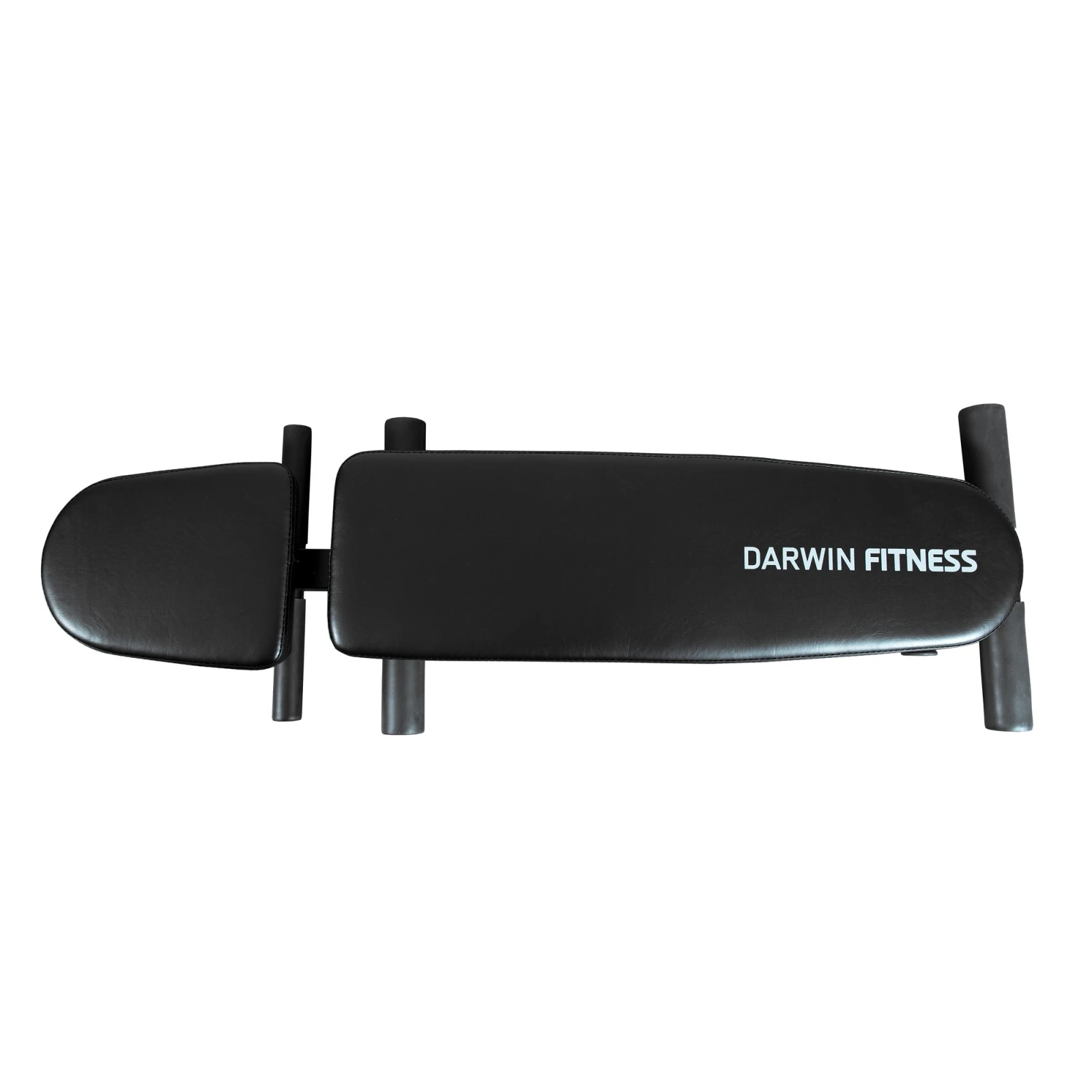 Darwin Fitness Banco De Musculaci贸n Darwin FB50 - Fitshop - Imagen 2