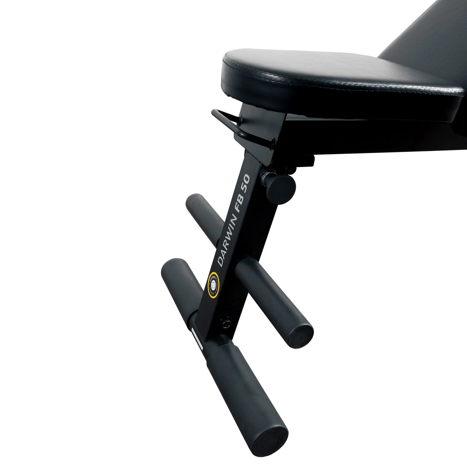 Darwin Fitness Banco De Musculaci贸n Darwin FB50 - Fitshop - Imagen 3