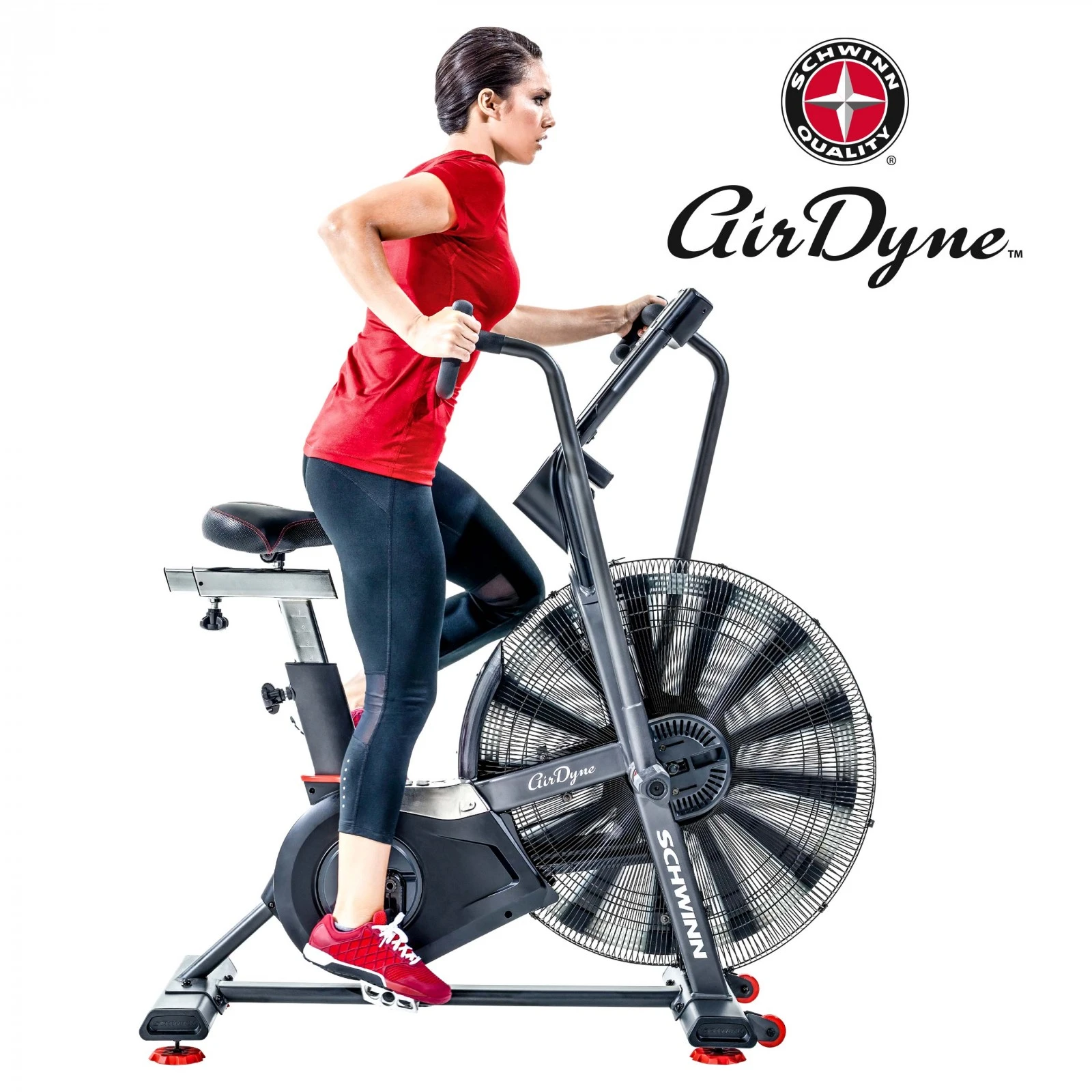 Schwinn Airdyne AD8 - Fitshop - Imagen 2