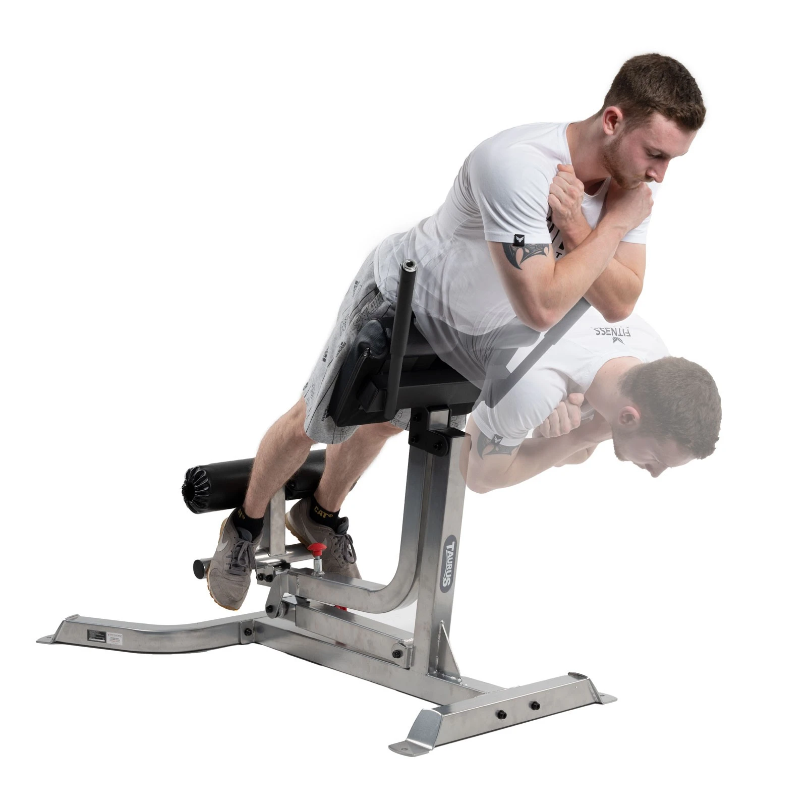 Banco Lumbar Taurus B850 Pro - Fitshop - Imagen 3