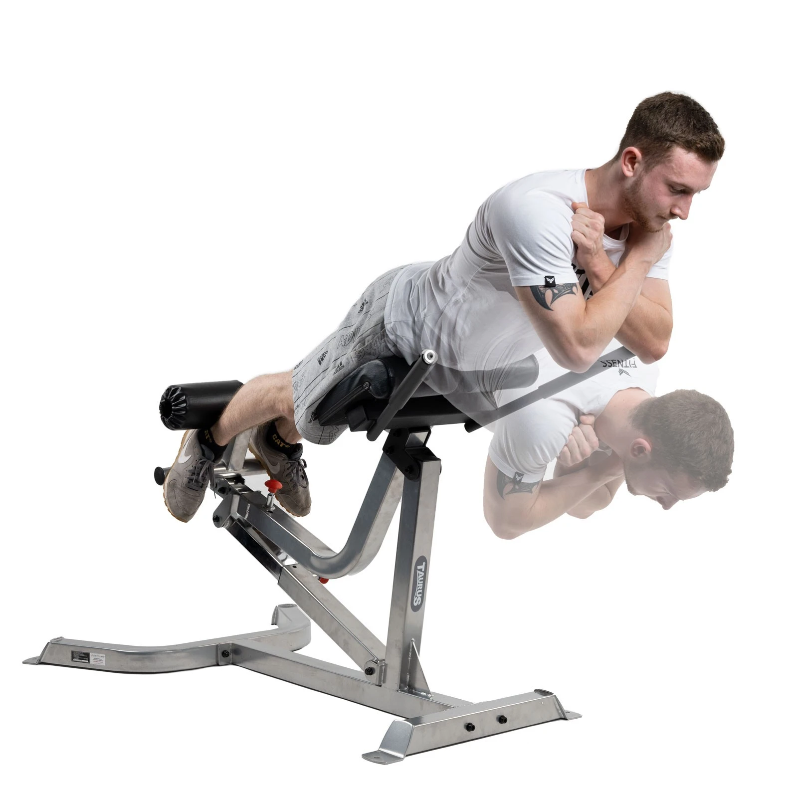 Banco Lumbar Taurus B850 Pro - Fitshop - Imagen 2