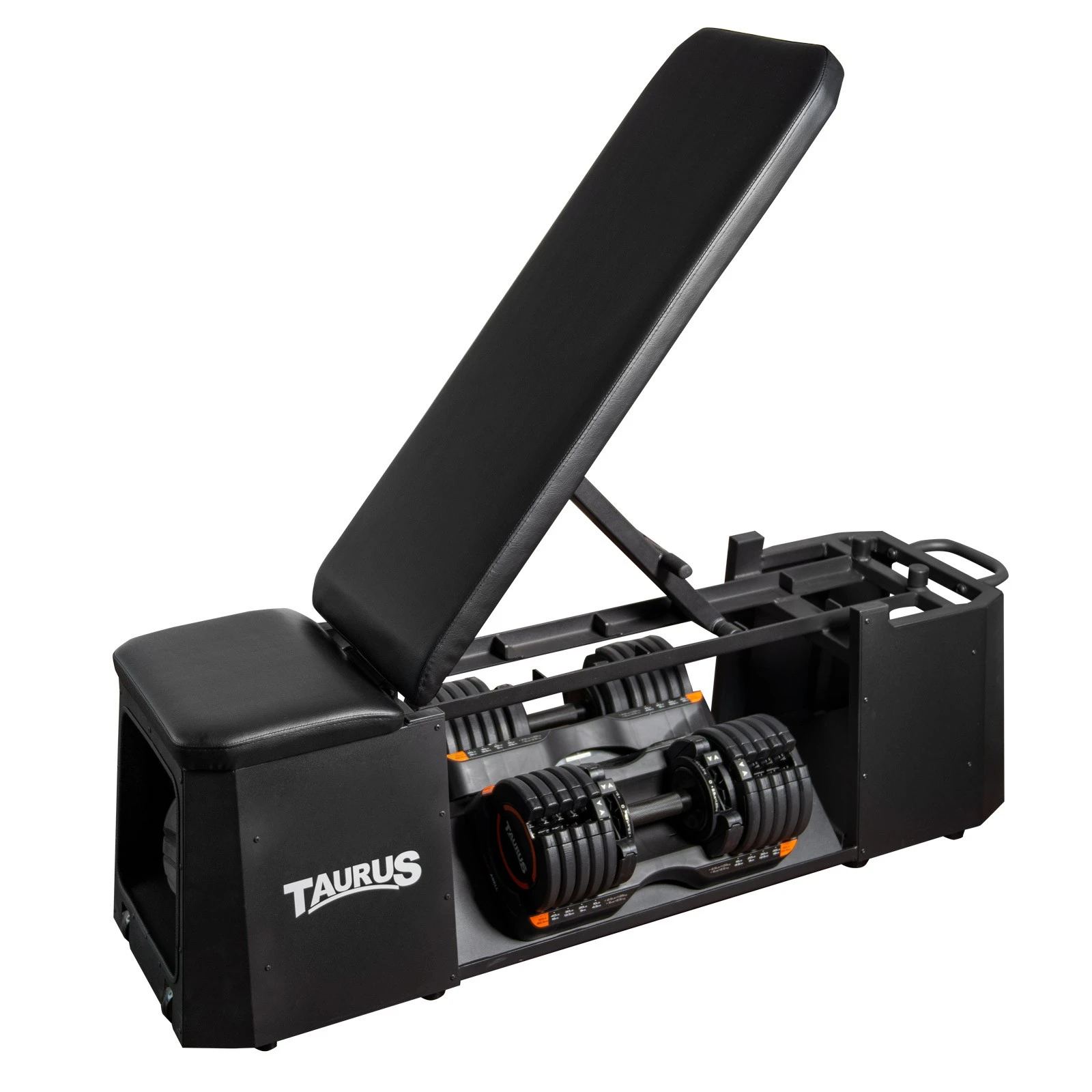 Banco De Musculaci贸n Taurus Selectabell - Fitshop - Imagen 6